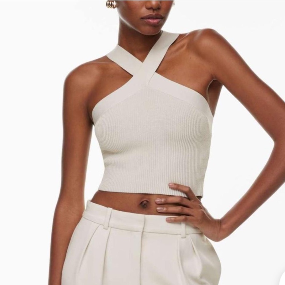 Aritzia Babaton Top